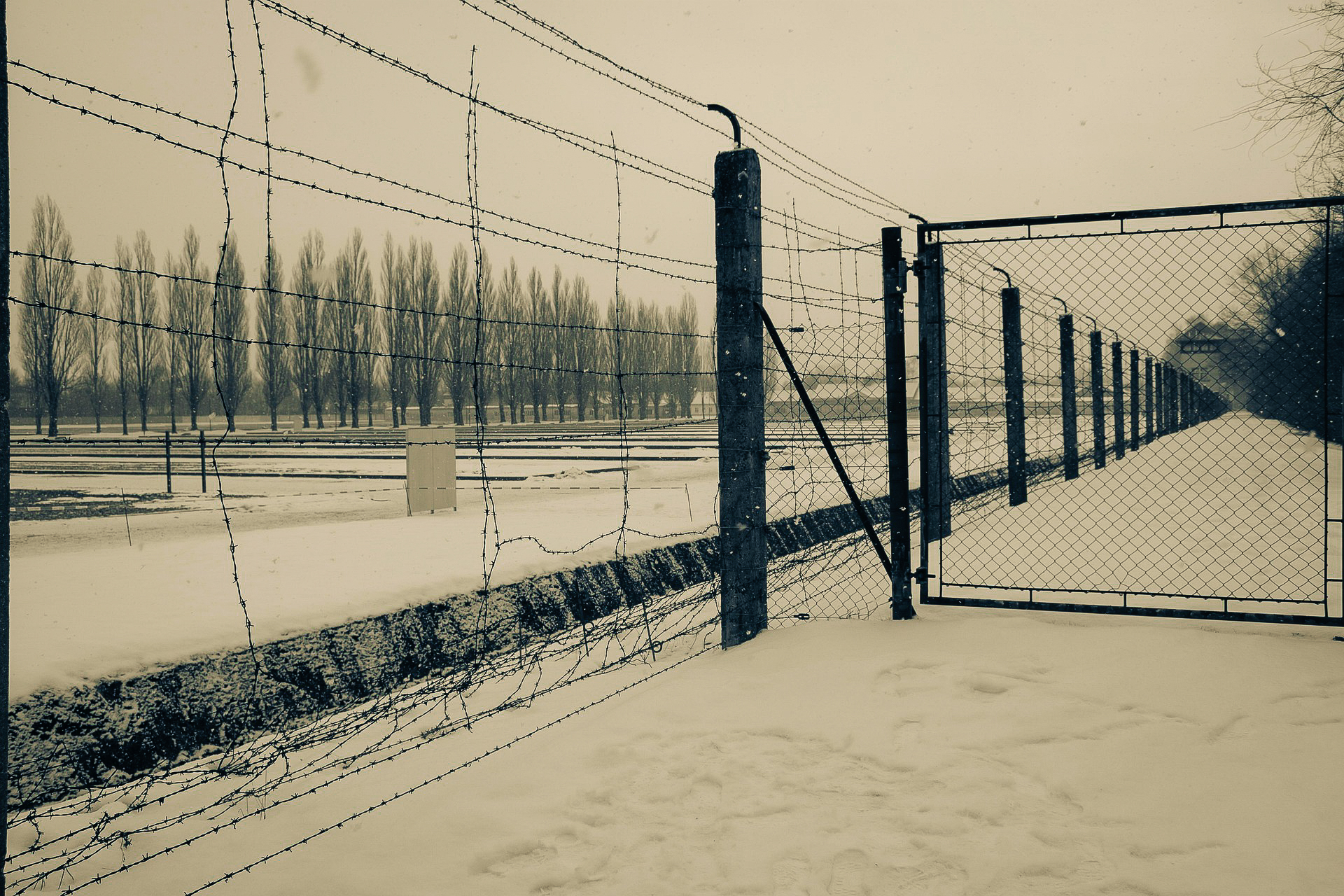 concentration-camp-5294734_1920-12