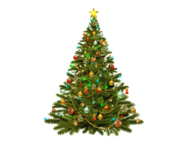 christmas tree gc0e029690 640
